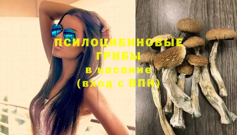 продажа наркотиков  Вологда  Галлюциногенные грибы Magic Shrooms 